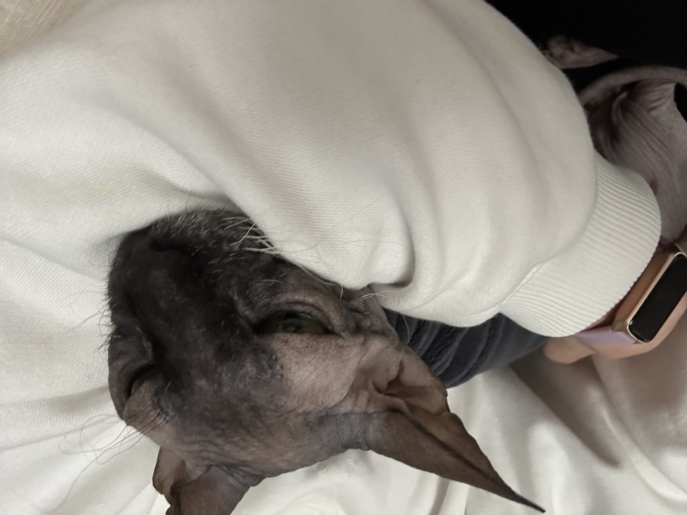 Update Rita is recovering from the surgery Image