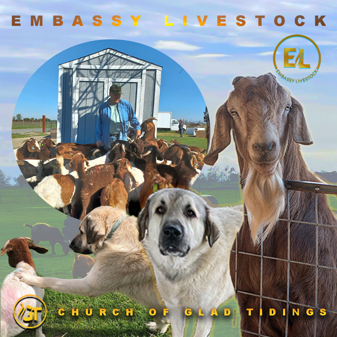 Update GT’s Embassy Livestock Image