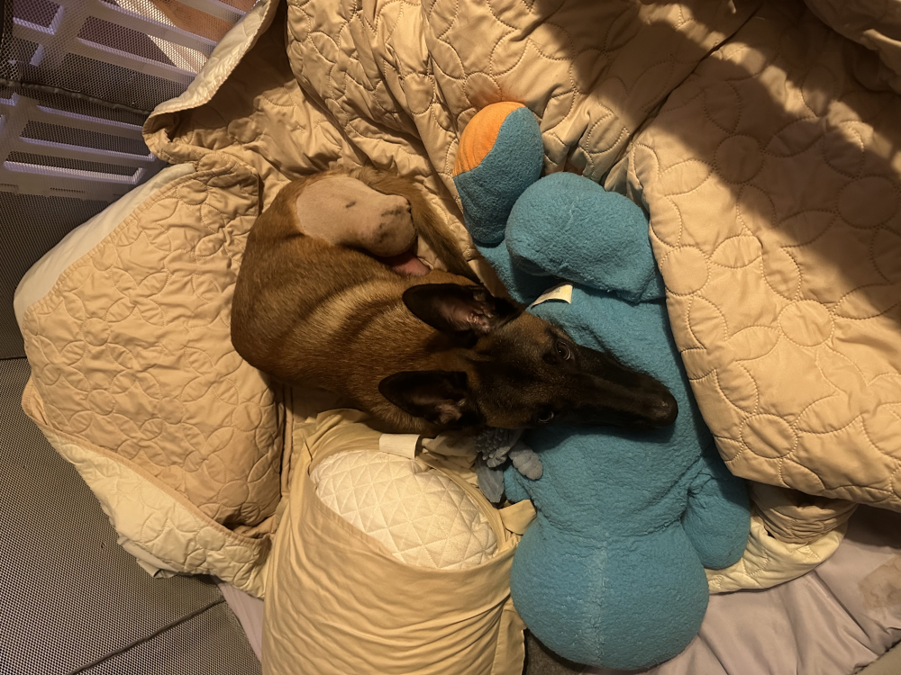 Update Dub Knub chillin! Image