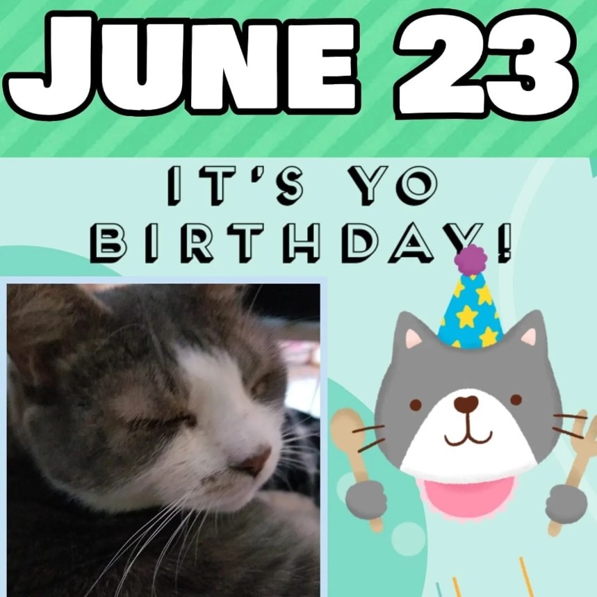 Update June Update + BoogerRoux’s Birthday is Coming! 🧡🐾 Image