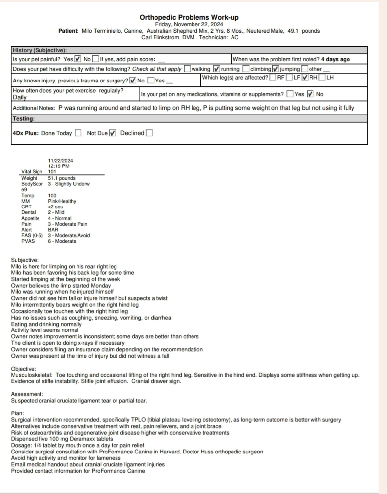 Update Initial vet diagnosis exam notes & referral to an orthopedic specialist Image