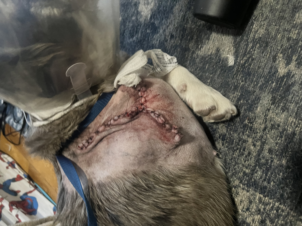Update Update #2 Image
