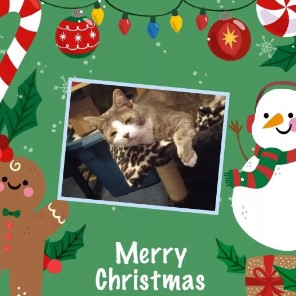 Update Merry Christmas and Heartfelt Thanks from BoogerRoux & Family! 🎄🐾 Image